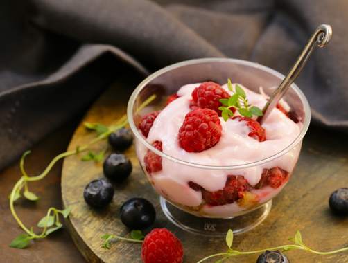 Frozen yoghurt treat