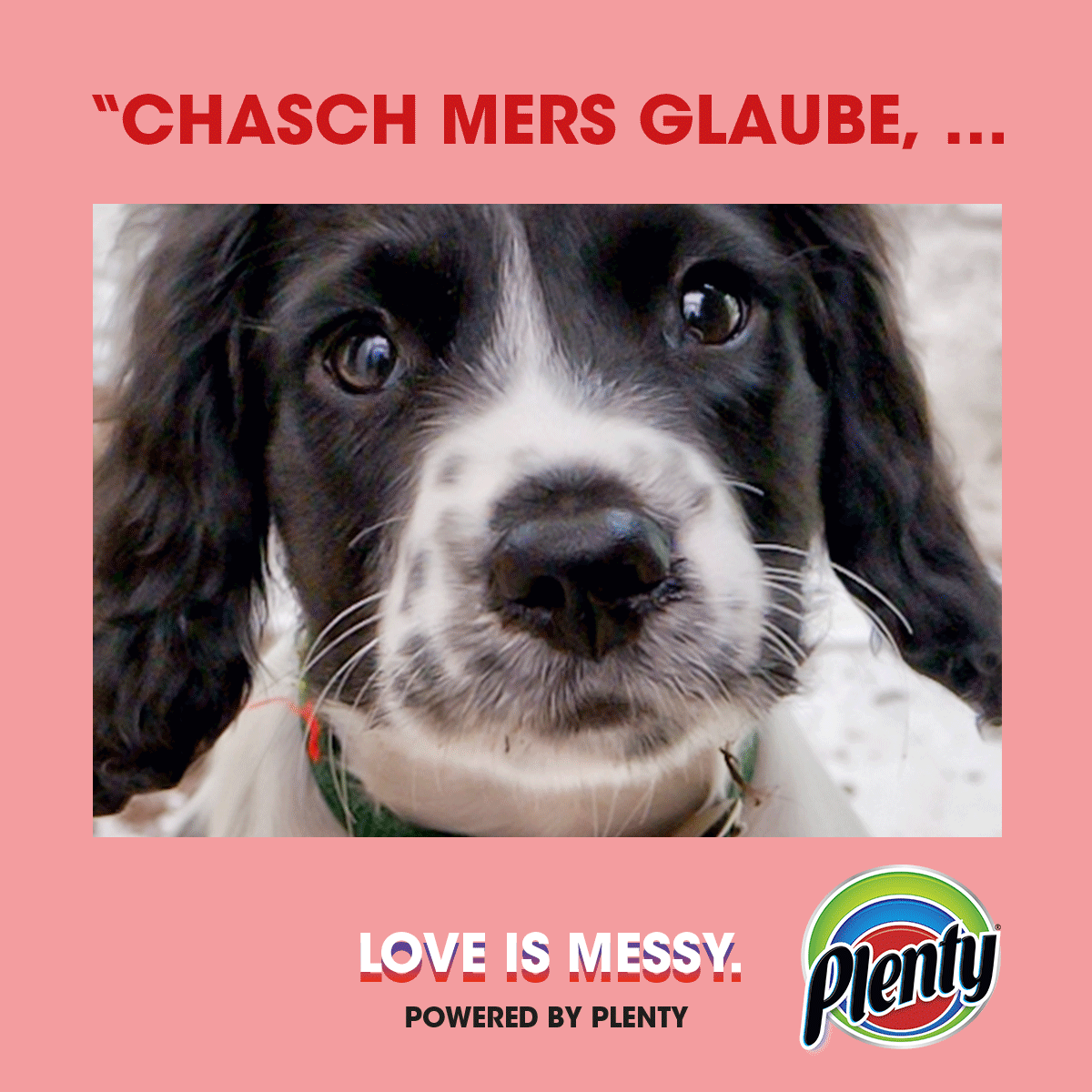 Plenty Love is Messy Meme Welpe