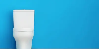 Toilette Reinigen