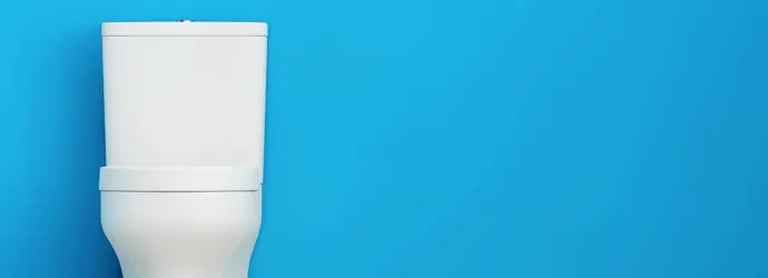 Toilette Reinigen