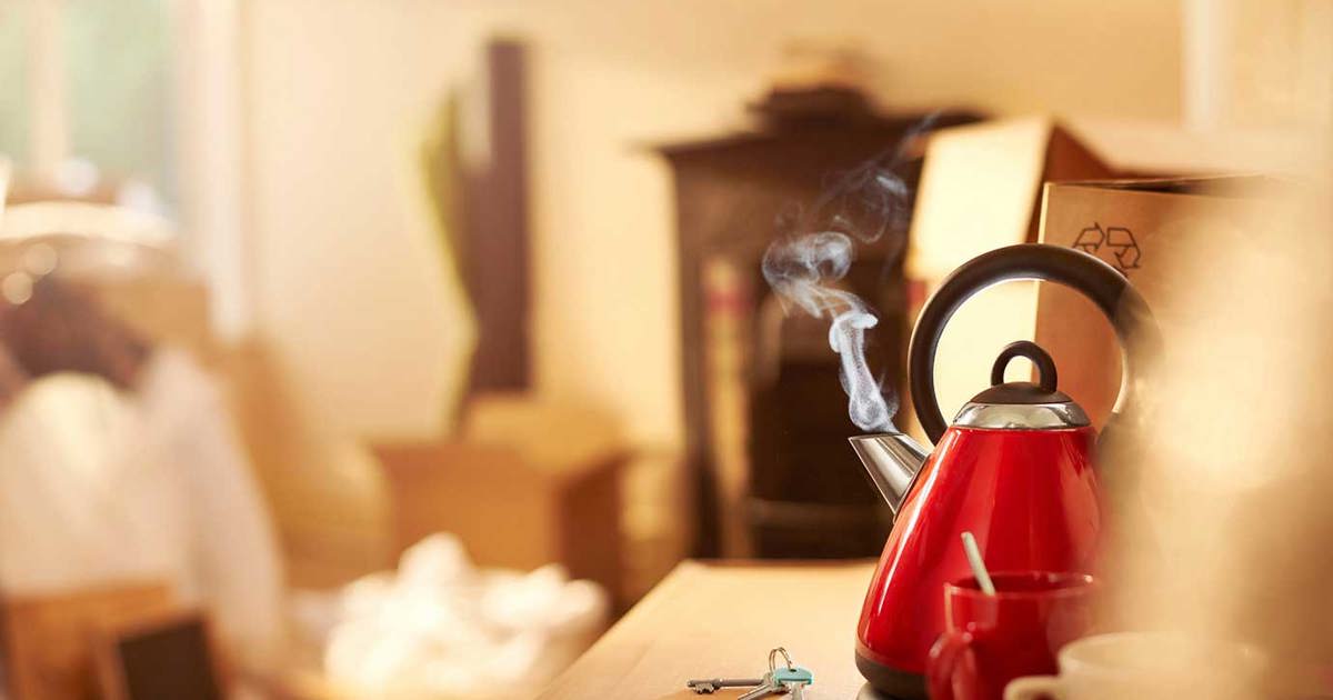 Descale Kettles with Vinegar & Kettle Cleaning Tips Plenty