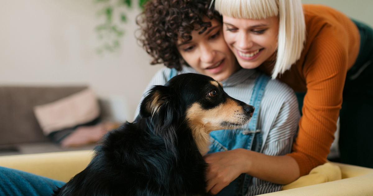 Why is my dog being sick? Signs, causes, solutions Plenty