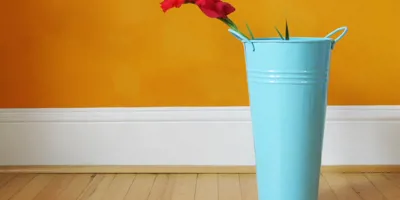 How to keep cut flowers fresh and free of gunky water