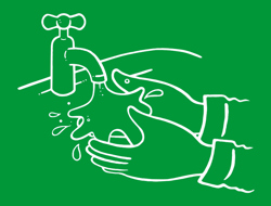 Start by wetting your hands