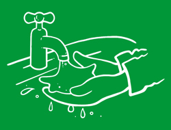 Now rinse your hands thoroughly