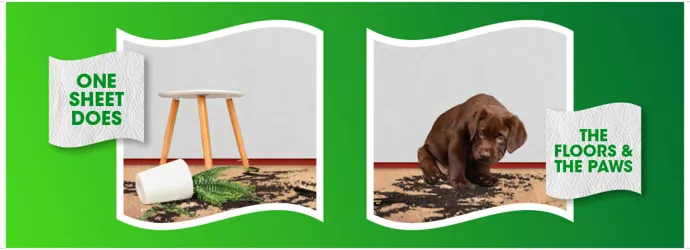 Images of dirty parquet floors against a green background.