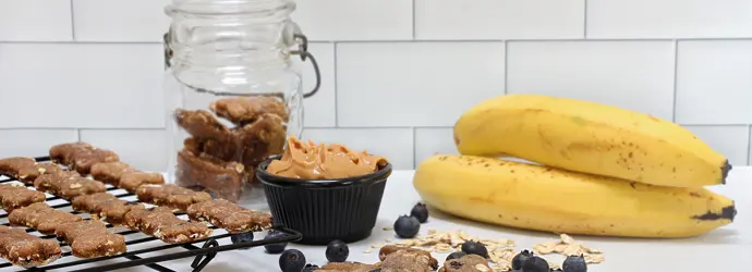 Hundekekse: ein Gaumenschmauß für unsere Vierbeiner