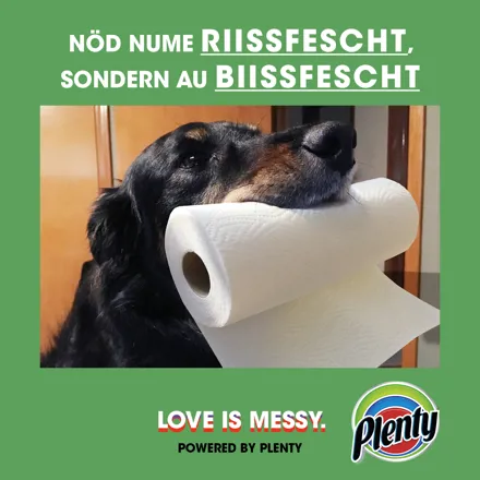 Plenty Love is Messy Meme Dog