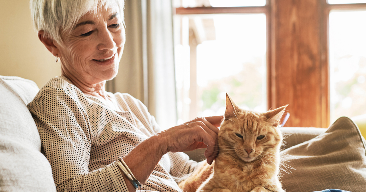 “My cat is sick” signs, causes and solutions Plenty