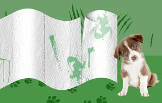 Cute dog with innocent expression trails muddy pawprints next to giant graphic visual of Plenty Flexisheet kitchen paper.