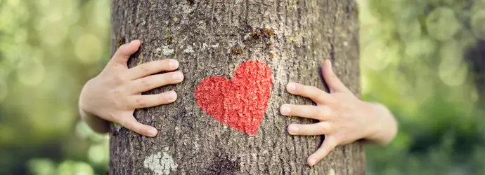 Recycelte Fasern und weniger CO2: Unsere innovativen Produkte