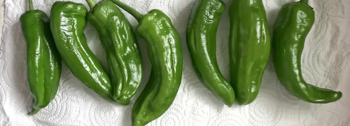 How to use kitchen roll to keep vegetables fresh